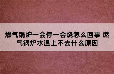 燃气锅炉一会停一会烧怎么回事 燃气锅炉水温上不去什么原因